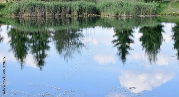 Obraz odpoczynek nad wodą