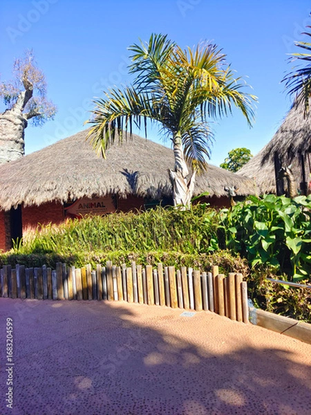 Fototapeta Tropical garden