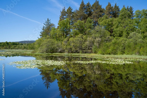 Obraz Clarack Loch near Dinnet in Scotland