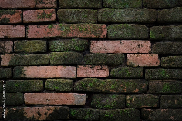 Obraz Old brick wall texture background
