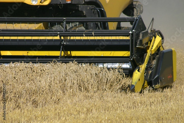 Obraz Combine Harvester