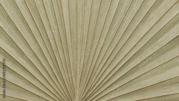 Fototapeta Textured natural palm leaf pattern