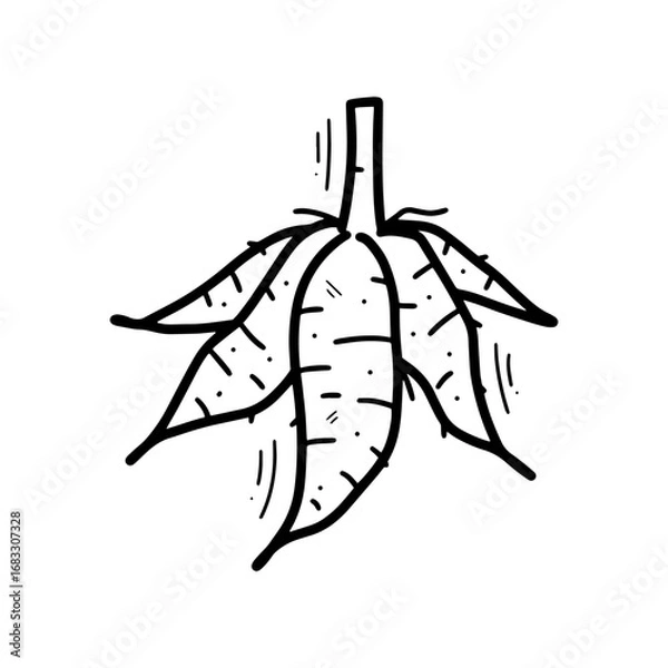 Fototapeta Hand Drawn Cassava Illustration. Doodle Vector. Isolated on White Background - EPS 10 Vector