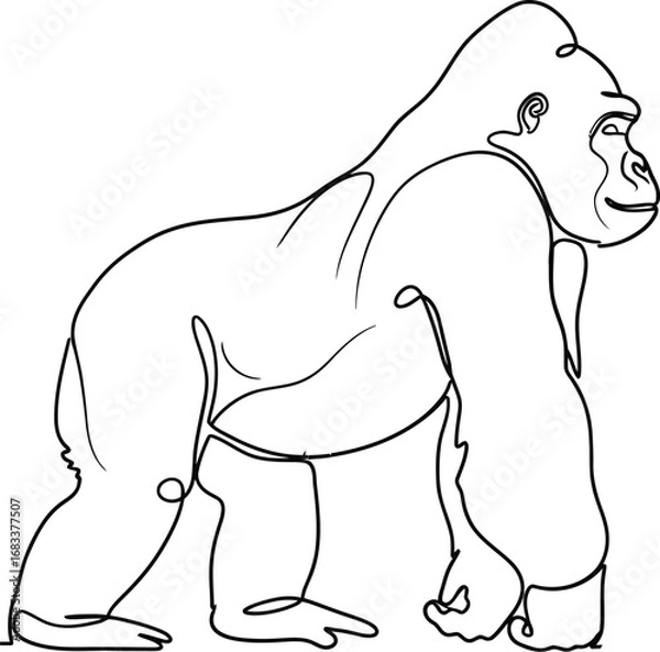 Fototapeta A powerful gorilla depicted in a minimalist continuous line drawing, showcasing its strong physique.