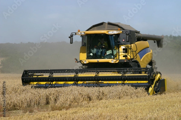 Obraz Combine Harvester