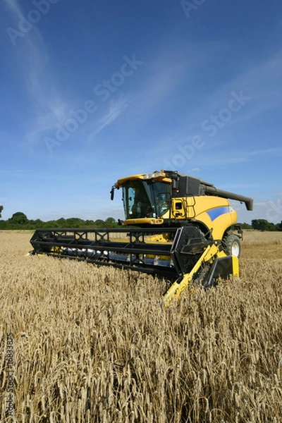 Obraz Combine Harvester