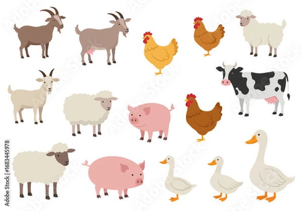 Fototapeta Farm animals illustration goats sheep chickens pigs cows and geese stand on a white background