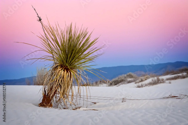 Obraz White Sands Apen glow