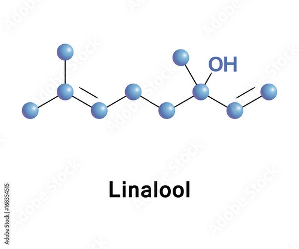 Obraz Linalool terpene alcohol