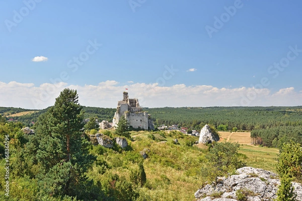 Obraz Zamek w Mirowie