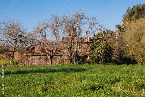 Obraz Camino Francés