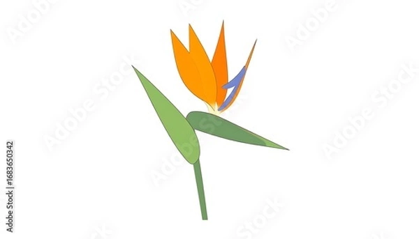 Fototapeta A vibrant, stylized bird of paradise flower displays bold orange and green hues against a plain white background.