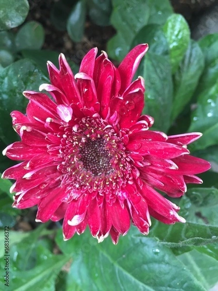 Obraz Exploring Saskatoon and Saskatchewan