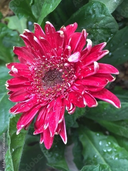 Obraz Exploring Saskatoon and Saskatchewan