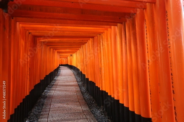 Fototapeta 伏見稲荷の千本鳥居