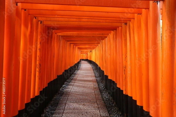 Fototapeta 伏見稲荷の千本鳥居