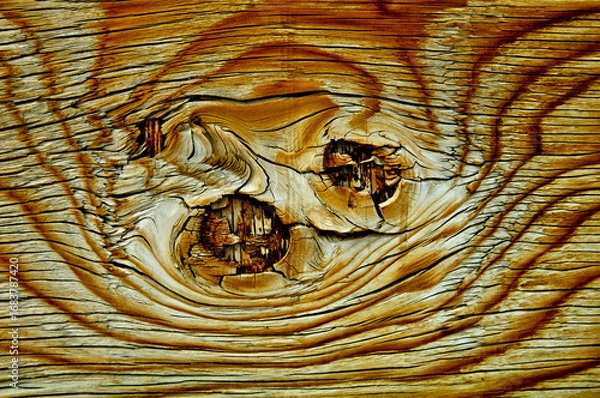 Fototapeta Weathered knot pattern 