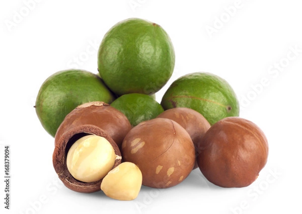 Fototapeta macadamia nuts on white background