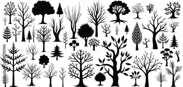 Fototapeta Different tree collection vector silhouette