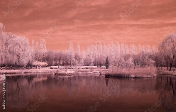 Obraz Infrared tree & lake