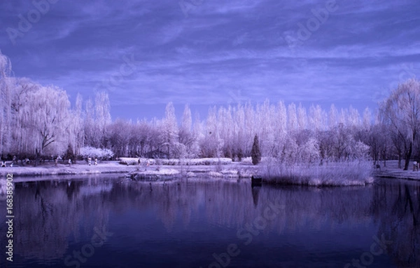 Obraz Infrared tree & lake