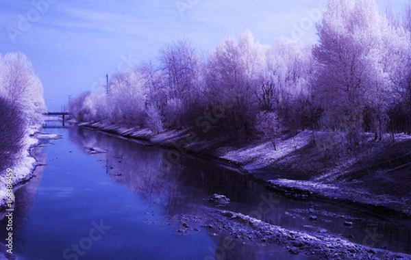Obraz Infrared white tree & river