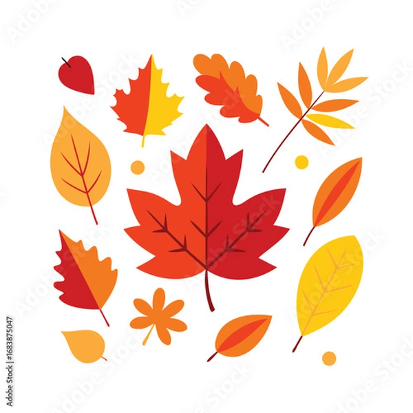 Fototapeta Vibrant collection of autumn leaves in various shapes and colors