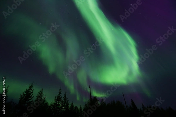 Obraz Northern lights