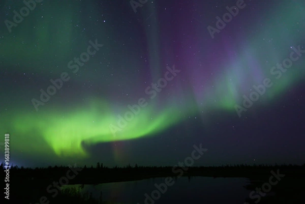 Obraz Northern lights