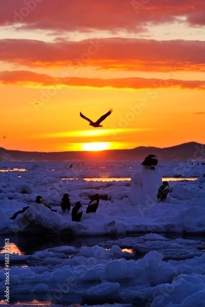 Obraz 国後の夜明け