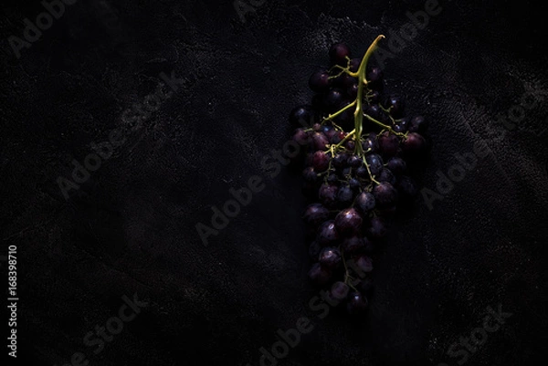 Obraz Blue grapes on concrete background