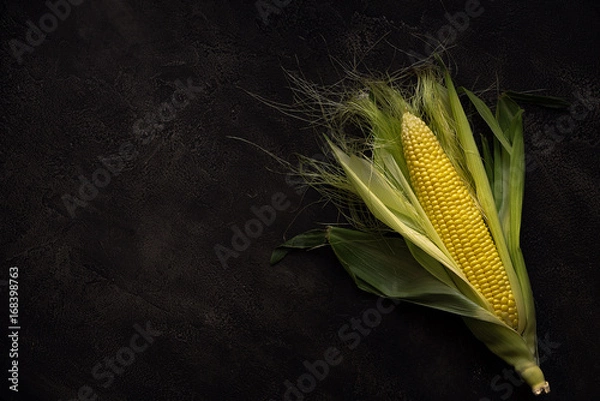 Obraz One ripe corn on concrete background