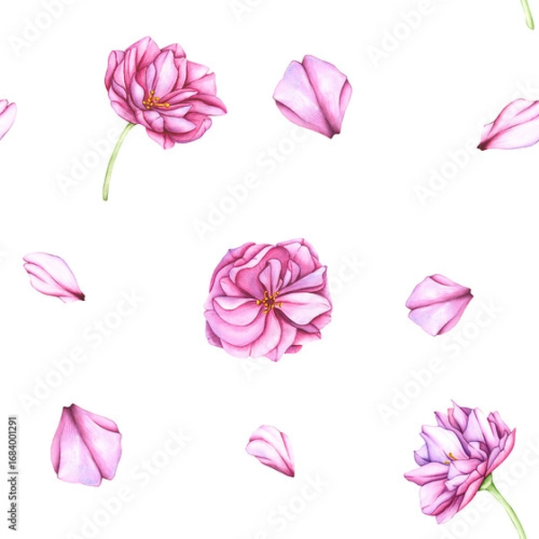 Obraz Seamless Pattern with Pink flowers and rose petals on a white background. Watercolor botanical background of flowers and cherry petals. Pattern with flowers for your designs, wallpapers, clothing