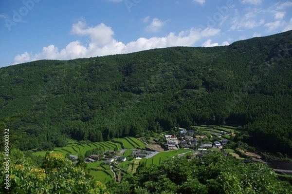 Fototapeta 夏の清水棚田　長崎県の棚田