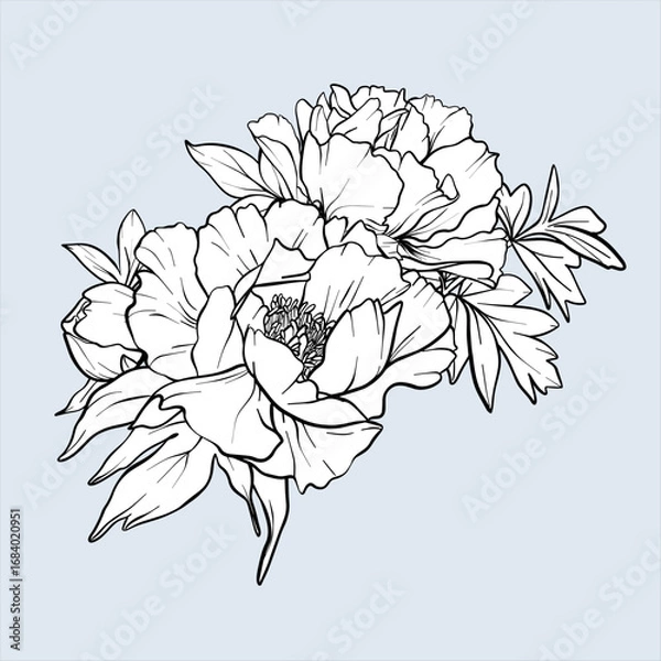 Obraz Bouquet of peonies line art. EPS 10. Flower sketch painted by black inks. Hand drawn outline flowers. Peony vector flower illustration. Flowers Engraving for wedding invitations, save the date card