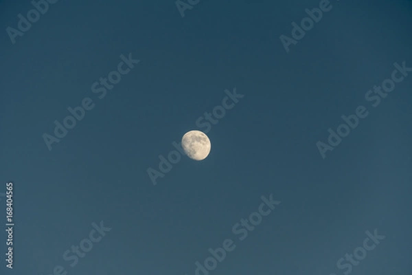 Obraz Blue Moon