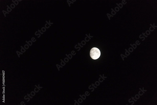 Obraz Moon