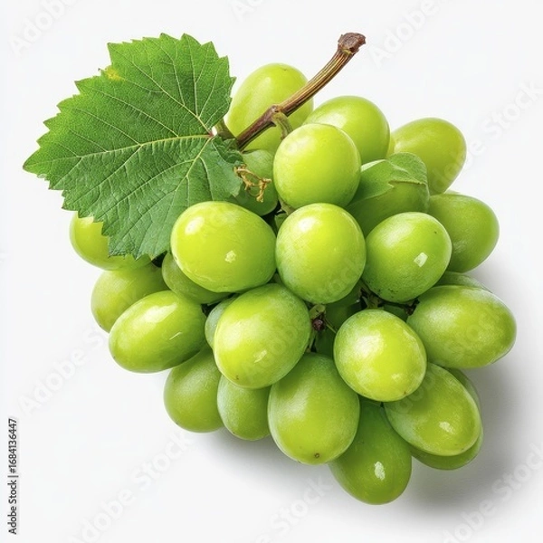 Fototapeta Single bunch of green grapes with a fresh leaf, on a pure white background Clean, simple, and high-quality stock photography - antioxidant sweet resolution