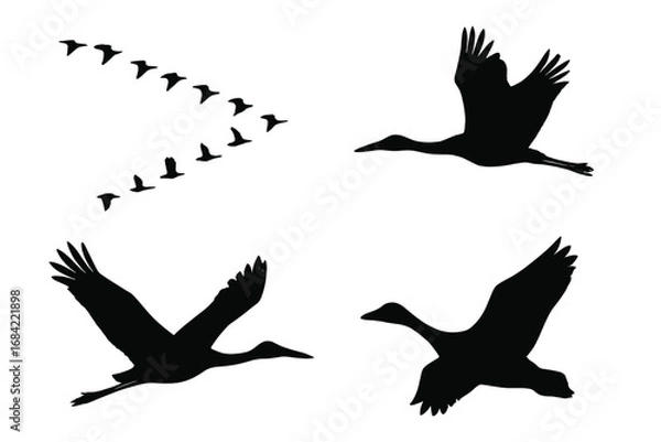 Obraz Migratory bird silhouettes vector icon set. Flock of geese in V-formation, flying crane and stork silhouettes. Wildlife and nature concept illustration for logos or icons.