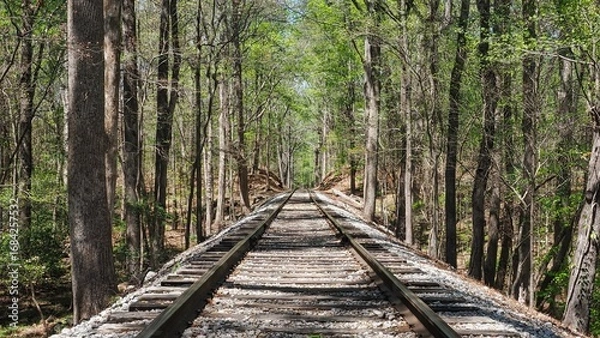 Obraz railway in the forest