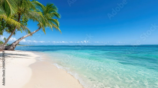 Fototapeta Tropical beach with palm trees, clear water, and blue sky creates serene atmosphere