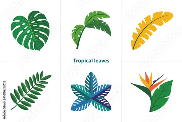 Fototapeta Exotic palm and fern leaf icons, monstera philodendron banana frond variations, lush tropical foliage pack, decorative botanical elements for design
