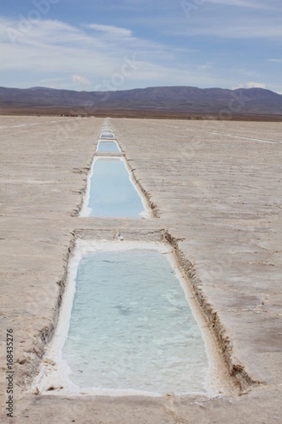 Obraz Salinas grande