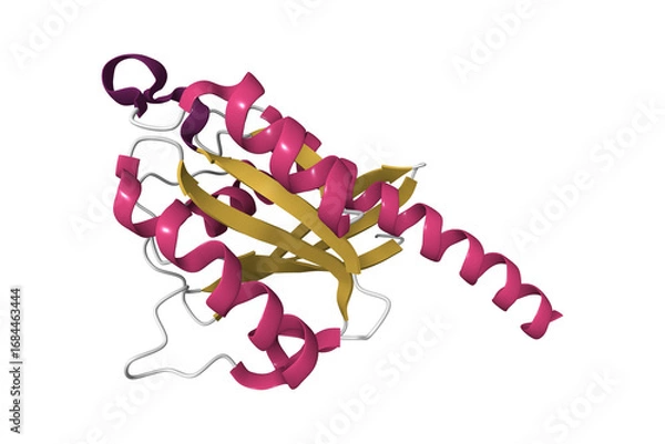 Obraz The crystal structure of the small GTPase Rab11b. 3D cartoon model, pdb 2f9m, secondary structure color scheme