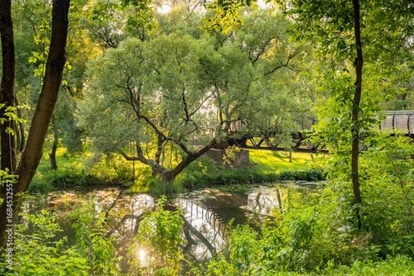 Fototapeta Tranquil Forest Scene with Bridge Over River