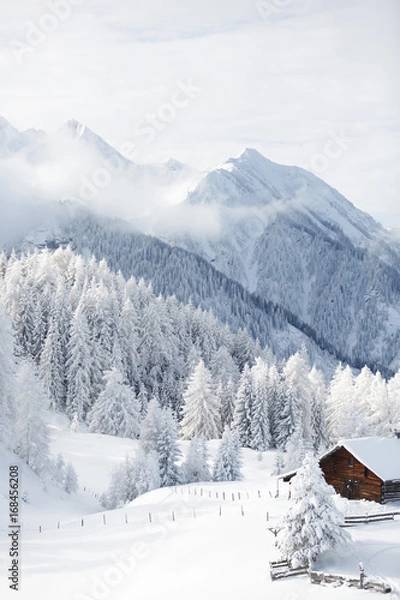 Obraz Wintermärchen in den Alpen