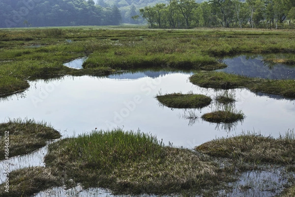 Obraz 尾瀬ヶ原