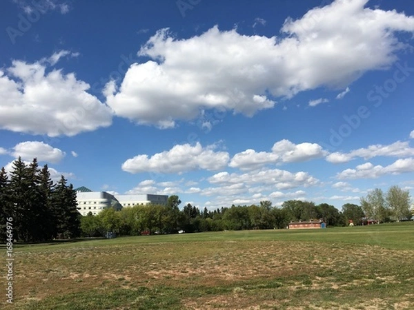 Obraz Potash Crop Park Saskatoon