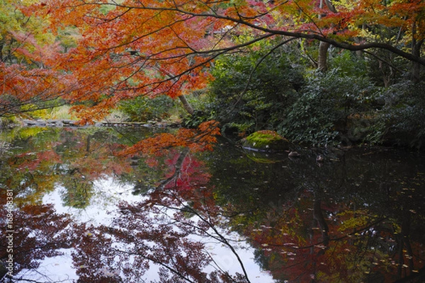 Obraz 根津美術館