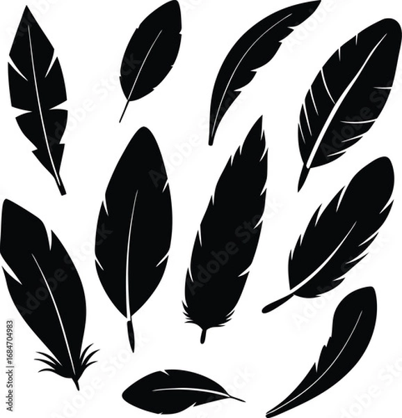 Fototapeta Colorful feather vector illustrations and seamless patterns of various bird plumes, wings, and quills for art and design